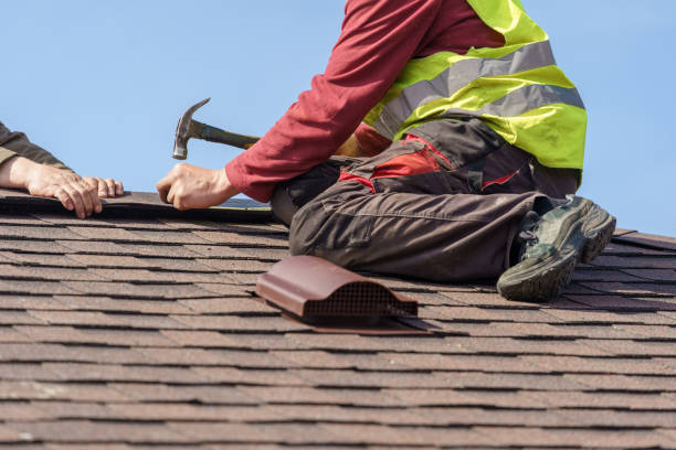 Best Storm Damage Roof Repair  in Malone, FL