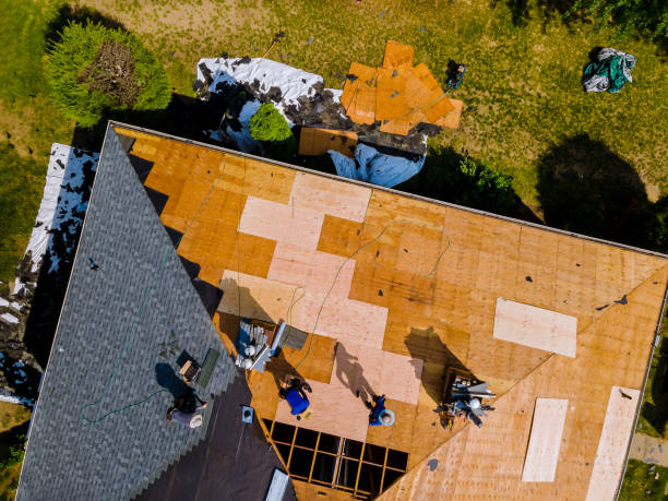 Best Flat Roof Repair Services  in Malone, FL